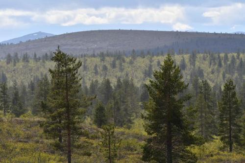 Parc national Urho Kekkonen