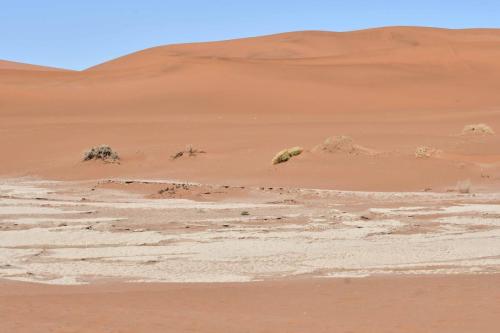 Deadvlei