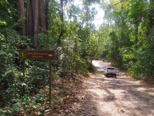 Sur la piste dans le Parc national de Kaeng Krachan