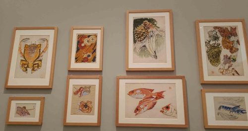 Illustrations de Mathurin Méheut pour un livre scientifique