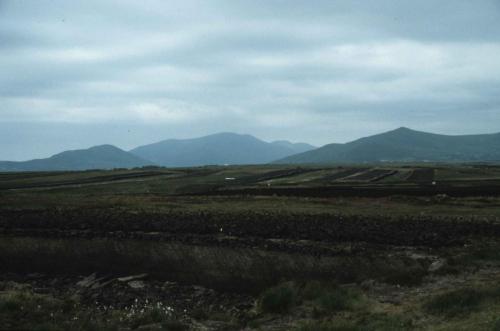 Récolte de la tourbe