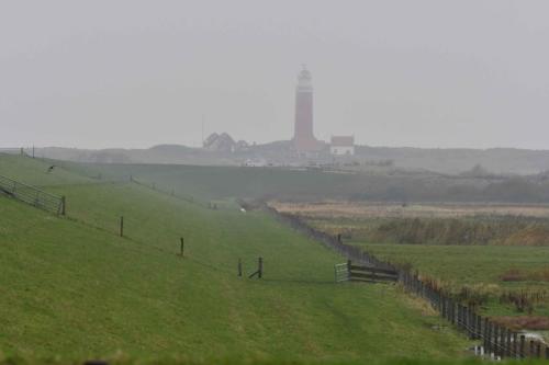 Vuurtoren Texel