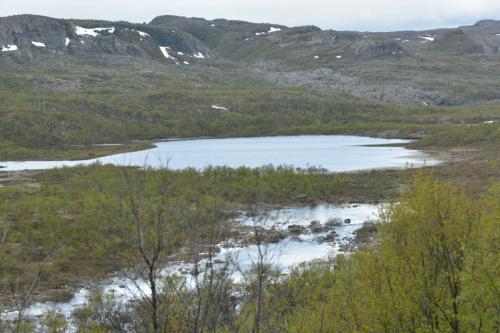 Entre Varangerbotn et Neiden