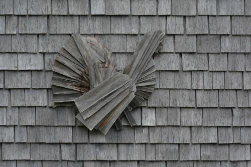 Grand tétras en tavaillons