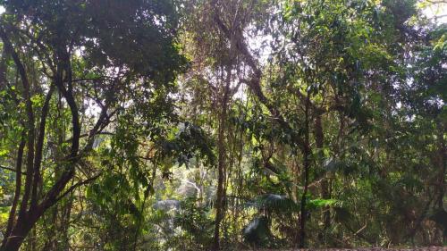 Khao Yai NP