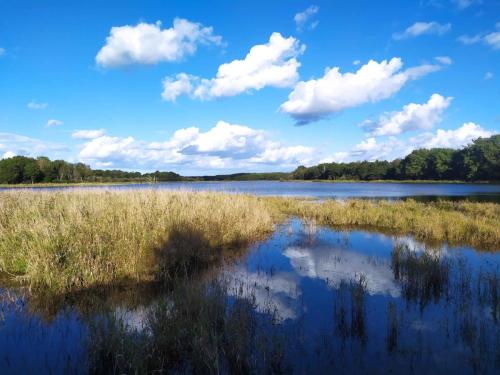 Etang de Beaumont