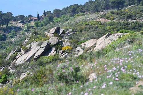 Près de Ermita de Sant Onofre