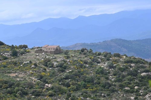 Mas de la Mata