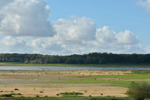 Lac de la forêt d'Orient