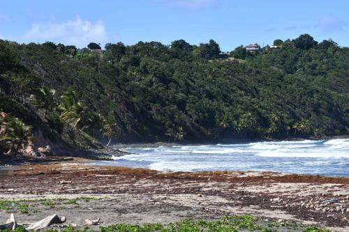 Anse Charpentier