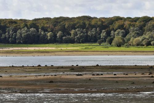 Lac de la forêt d'Orient