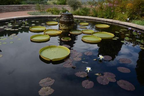 Jardin botanique