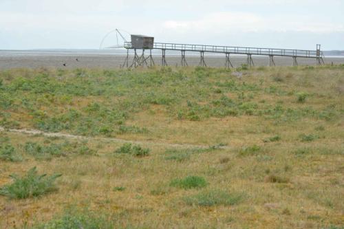 Au nord du port du Collet