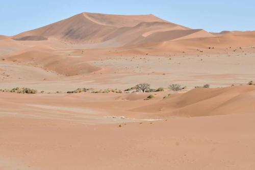 Sossusvlei