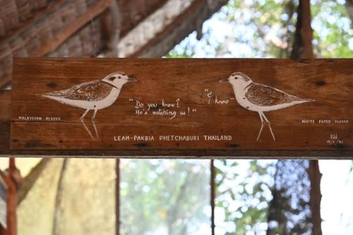 Sur Laem Phak Bia-sandspit,  nous devrions voir ces 2 oiseaux.