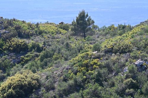 Près de Ermita de Sant Onofre