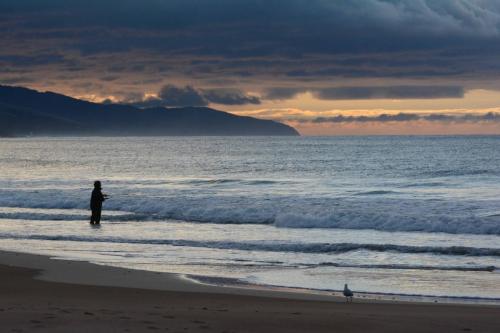 Pêcheur sur la plage de Apollo Bay