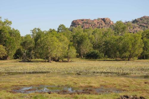 Billabong de Anbangbang