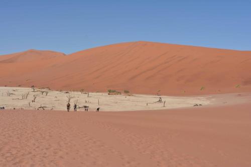 Deadvlei