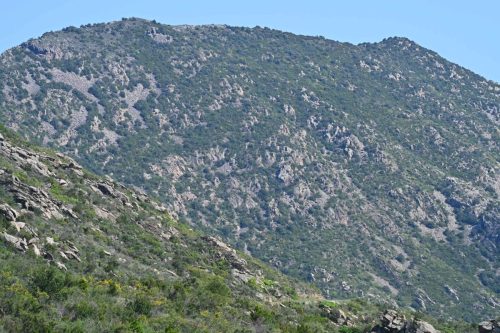Près de Ermita de Sant Onofre