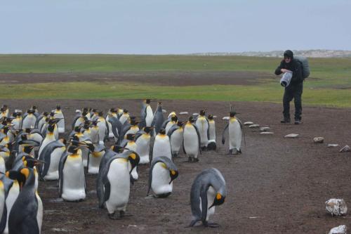 Sous la pluie et le vent pendant 3 heures