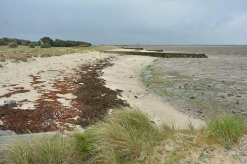 Au nord du port du Collet