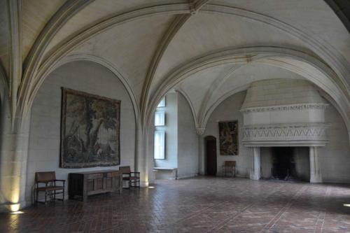 La salle du parlement Château du Plessis-Bourré (Maine et Loire)