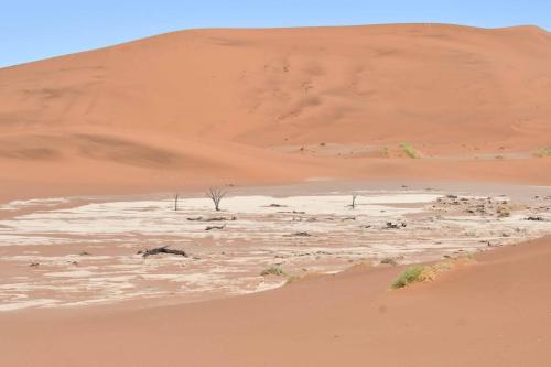 Deadvlei