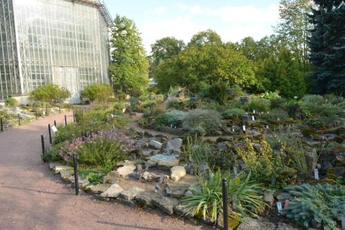 Jardin botanique de Saint-Petersbourg