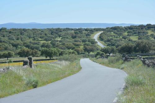 Entre Torrecillas de la Tiesa et  Belén