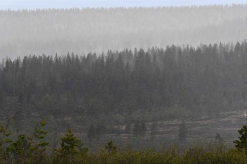 L'averse arrive droit sur nous