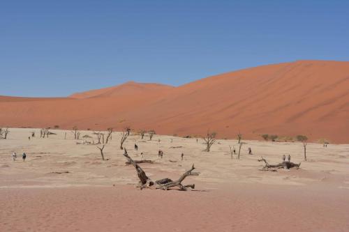 Deadvlei