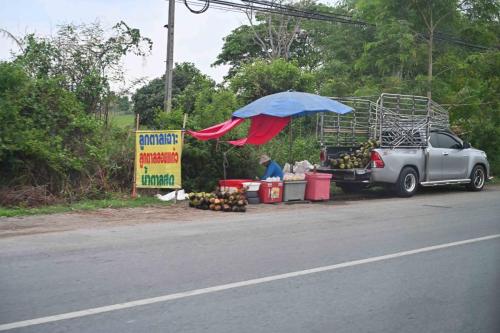 Vente de noix de coco