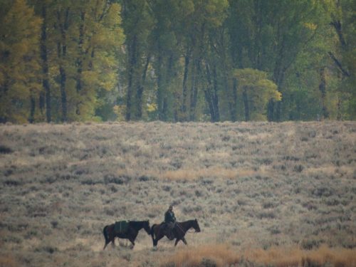 Un ranger à cheval dans l'immensité de Lamar Valley