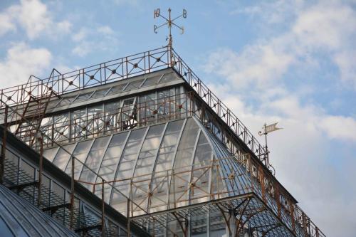 Jardin botanique de Saint-Petersbourg