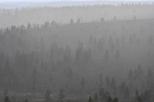 L'averse arrive droit sur nous