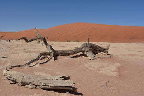 Deadvlei