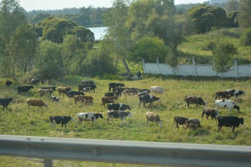 Sur la route vers Moscou
