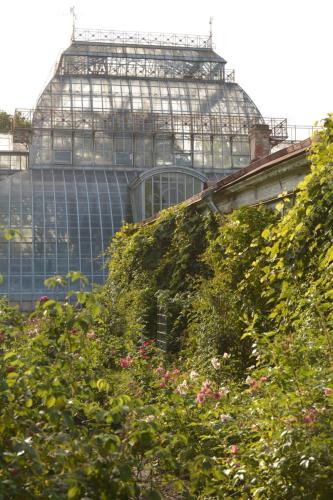 Jardin botanique de Saint-Petersbourg