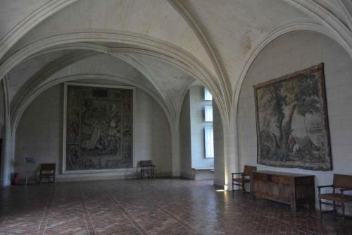 La salle du parlement Château du Plessis-Bourré (Maine et Loire)