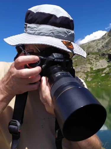 Petite tortue sur chapeau