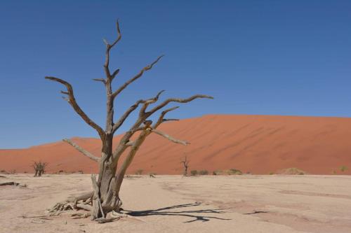 Deadvlei