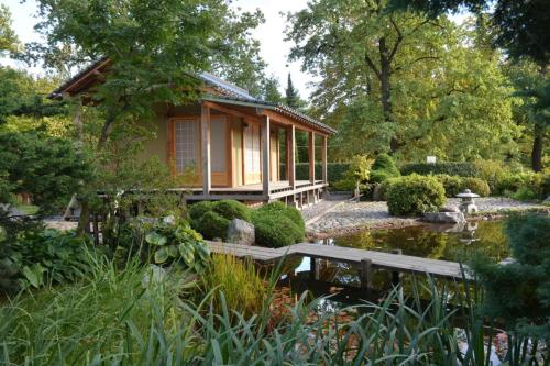 Jardin botanique de Saint-Petersbourg
