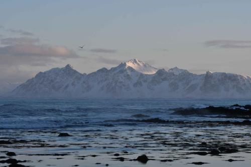 Bord de mer à Laukvik