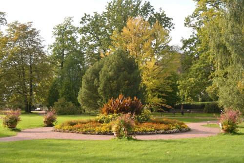 Jardin botanique de Saint-Petersbourg