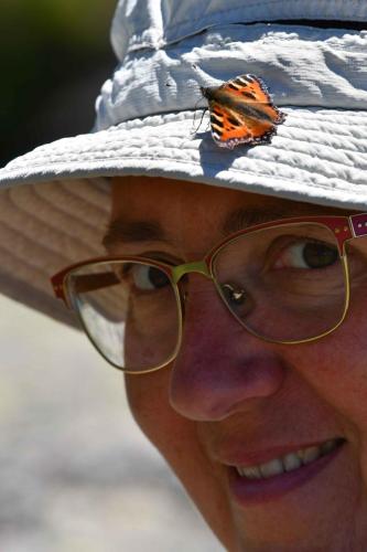 Petite tortue sur chapeau