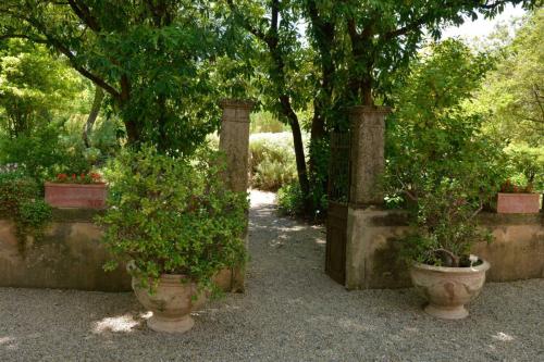 Harmas de Jean-Henri Fabre Sérignan du Comtat (Vaucluse)