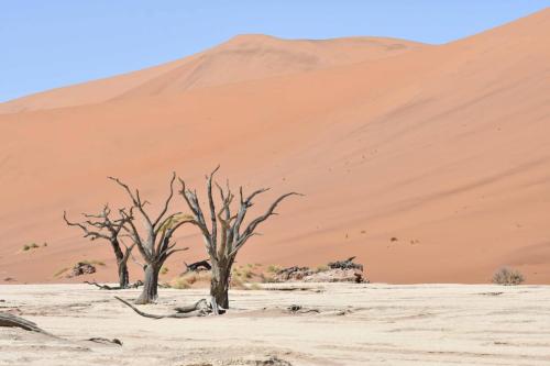 Deadvlei