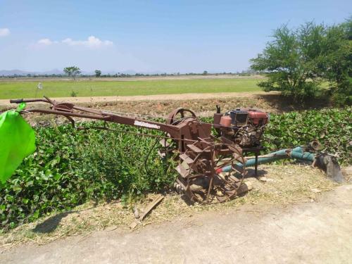Rizières à Phetchaburi