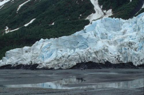 Exit Glacier prés de Seward